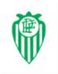 Brazil Paranaense League