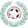 ดันเดลา เอฟซี logo