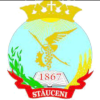 FC Ursidos Stauceni
