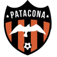 Patacona CF U19 logo