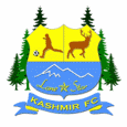 Lonestar Kashmir logo