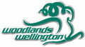 วุ๊ดแลนด์ เวลลิงตัน เอฟซี logo