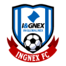 Yeosu INGNEX FC