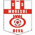 ซีเอส มูเรซัล ดีวา logo