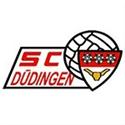 SC Dudingen logo