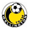 ทีม เวลริงตัน logo