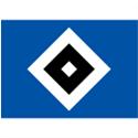 ฮัมบูร์เกอร์เอสเฟา(ยู 17) logo