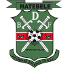 BDF XI logo