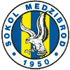 Sokol Medzibrod logo