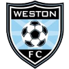 เวสตัน logo
