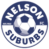 เนลสัน ซูเบริบส์ logo