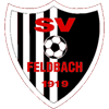 SV Feldbach logo