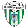 Bzenec logo