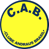 Andraus Brasil logo