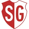 CS Guzman logo