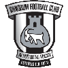 Dundrum FC logo