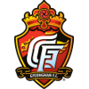 กยองนัม  เอฟซี logo