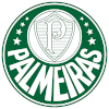 พัลไมรัสเอสพี (ญ) logo