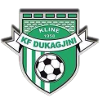 KF Dukagjini logo