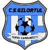 CS Gilortul Targu Carbunesti logo