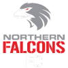 Northern Falcons SC logo