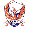 Valentine Phoenix Reserves logo