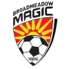 Broadmeadow Magic Reserves logo