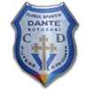 CS Dante Botosani logo