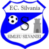 CS Sportul Simleu Silvaniei logo
