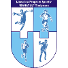 LPS Banatul Timisoara U19 logo