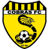 Bentleigh Utd Cobras logo