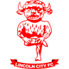 ลินคอล์น ซิตี้(ญ) logo