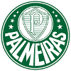 พัลไมรัส (เยาวชน) logo