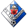 Slavicin logo