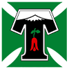 ดิปอรเต่ส เตมูโก logo