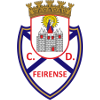 เฟยเรนเซ่ (ยู19) logo