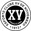 เอ๊กซ์วี  เดอ พิราซิคาบ้า  (เยาวชน) logo
