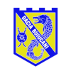 ดาเซีย-บุยอูคานี logo
