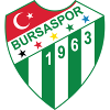 เบอร์ซาสปอร์ (ยู19) logo