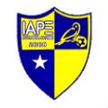 IAPE (Youth) logo