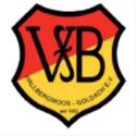 VFB Hallbergmoos logo