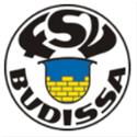 บูดิสซ่า บัวซอน logo