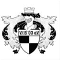 วีเอฟบี ฮิลเดน logo