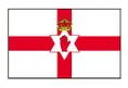 ไอร์แลนด์เหนือ(ญ) logo