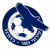 Ironi Nesher U19 logo