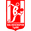 บาลิเคเซอร์สปอร์ (ยู 19) logo