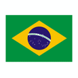 บราซิล(ญ) ยู20 logo