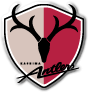 คาชิม่า แอนท์เลอร์ส  (สำรอง) logo