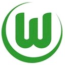วีเอฟเอล โวล์ฟสบวร์ก  (เยาวชน) logo