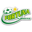 ฟอร์ทูน่า ฮจอร์ริ่ง บี(ญ) logo